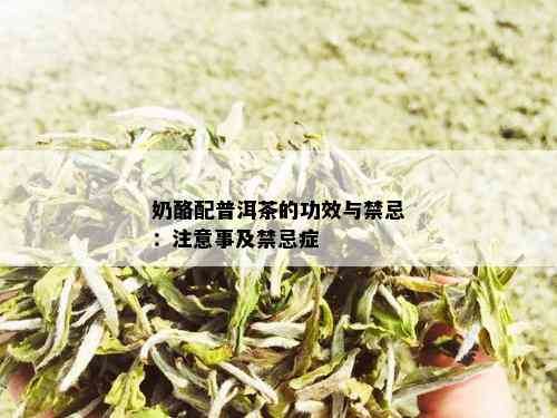 奶酪配普洱茶的功效与禁忌：注意事及禁忌症