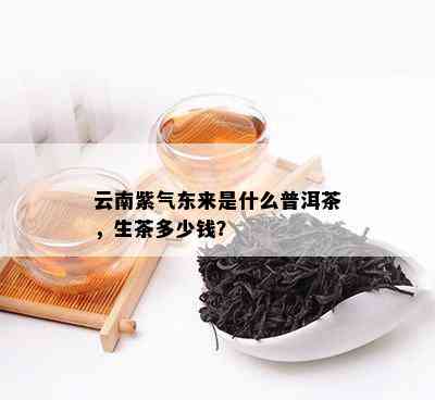 云南紫气东来是什么普洱茶，生茶多少钱？