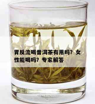 胃反流喝普洱茶有用吗？女性能喝吗？专家解答