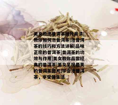 美女教泡普洱茶图片高清|教你如何泡普洱茶|泡普洱茶的技巧和方法详解|品味正宗的普洱茶|普洱茶的功效与作用|美女教你品尝经典的普洱茶|美女呈现最美的普洱茶图片|学会泡普洱茶，享受健生活