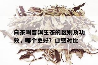 白茶喝普洱生茶的区别及功效，哪个更好？口感对比