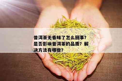 普洱茶无香味了怎么回事？是否影响普洱茶的品质？解决方法有哪些？