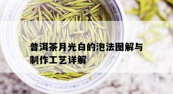 普洱茶月光白的泡法图解与制作工艺详解