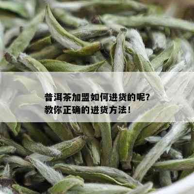 普洱茶加盟如何进货的呢？教你正确的进货方法！