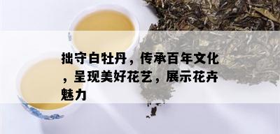 拙守白牡丹，传承百年文化，呈现美好花艺，展示花卉魅力