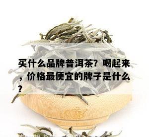 买什么品牌普洱茶？喝起来，价格更便宜的牌子是什么？