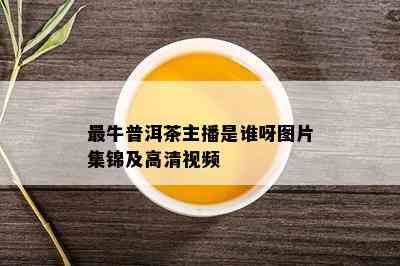 最牛普洱茶主播是谁呀图片集锦及高清视频