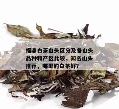 福鼎白茶山头区分及各山头品种和产区比较，知名山头推荐，哪里的白茶好？