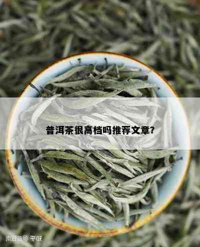 普洱茶很高档吗推荐文章？