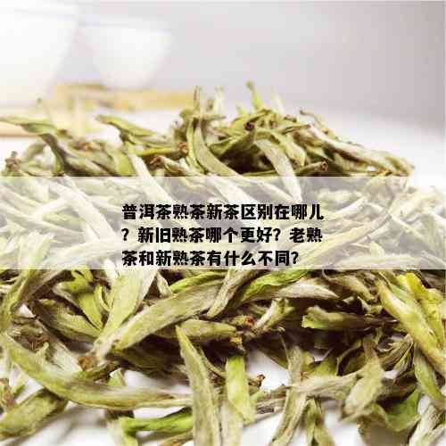 普洱茶熟茶新茶区别在哪儿？新旧熟茶哪个更好？老熟茶和新熟茶有什么不同？