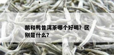 鹅和鸭普洱茶哪个好喝？区别是什么？