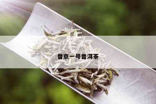 普京一号普洱茶