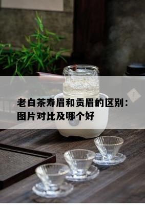 老白茶寿眉和贡眉的区别：图片对比及哪个好