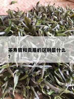 茶寿眉和贡眉的区别是什么？