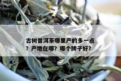 古树普洱茶哪里产的多一点？产地在哪？哪个牌子好？