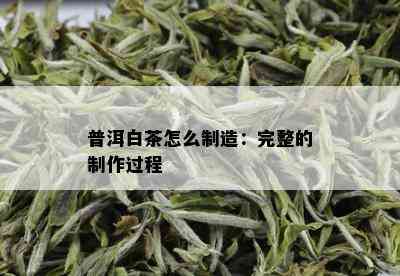 普洱白茶怎么制造：完整的制作过程