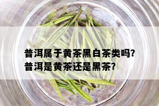 普洱属于黄茶黑白茶类吗？普洱是黄茶还是黑茶？