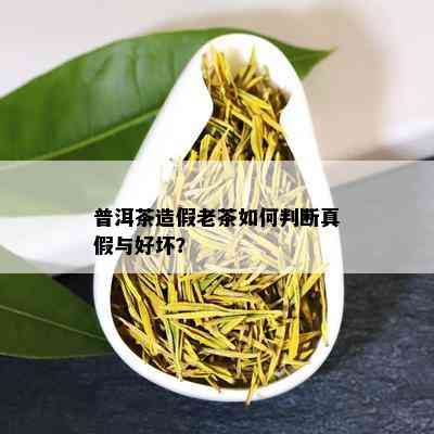 普洱茶造假老茶如何判断真假与好坏？