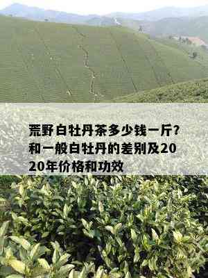 荒野白牡丹茶多少钱一斤？和一般白牡丹的差别及2020年价格和功效