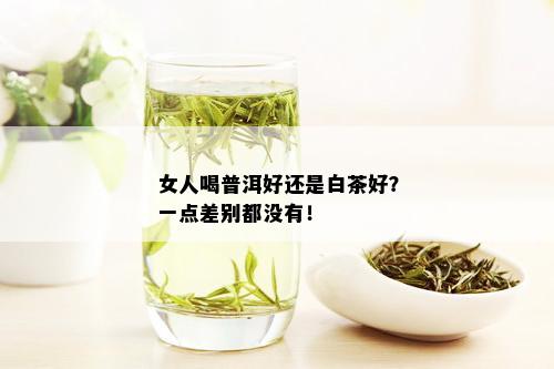 女人喝普洱好还是白茶好？一点差别都没有！