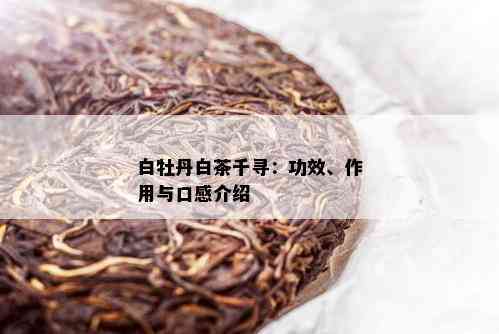 白牡丹白茶千寻：功效、作用与口感介绍