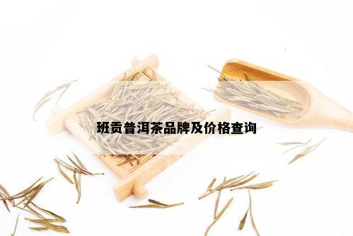 班贡普洱茶品牌及价格查询