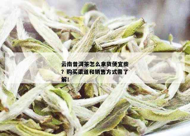 云南普洱茶怎么拿货便宜些？购买渠道和销售方式需了解！