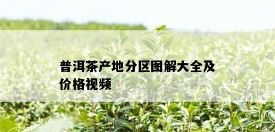 普洱茶产地分区图解大全及价格视频