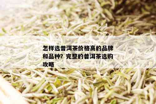 怎样选普洱茶价格高的品牌和品种？完整的普洱茶选购攻略