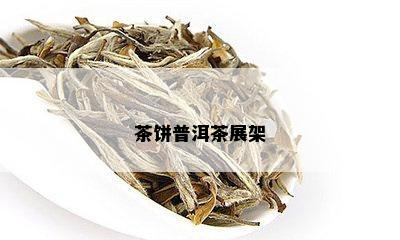 茶饼普洱茶展架