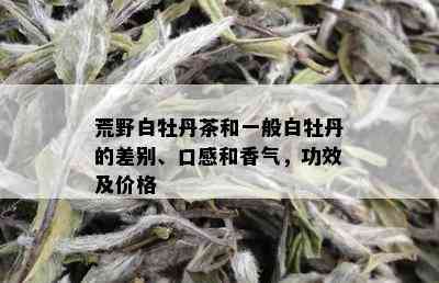 荒野白牡丹茶和一般白牡丹的差别、口感和香气，功效及价格