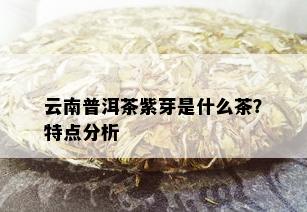 云南普洱茶紫芽是什么茶？特点分析