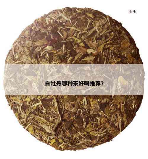 白牡丹哪种茶好喝推荐？