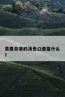 贡眉白茶的汤色口感是什么？