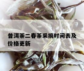 普洱茶二春茶采摘时间表及价格更新