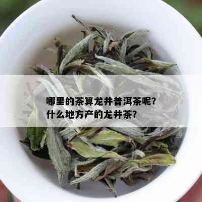 哪里的茶算龙井普洱茶呢？什么地方产的龙井茶？