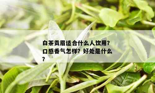 白茶贡眉适合什么人饮用？口感香气怎样？好处是什么？