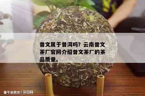 普文属于普洱吗？云南普文茶厂官网介绍普文茶厂的茶品质量。