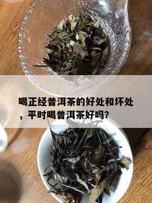 喝正经普洱茶的好处和坏处，平时喝普洱茶好吗？