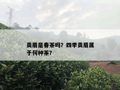 贡眉是春茶吗？四季贡眉属于何种茶？