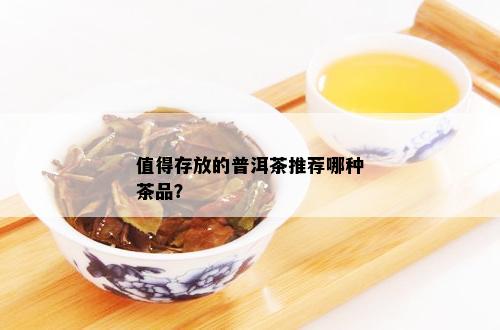 值得存放的普洱茶推荐哪种茶品？