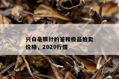 兴白毫银针的鉴和极品拍卖价格，2020行情