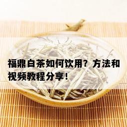 福鼎白茶如何饮用？方法和视频教程分享！