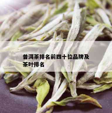 普洱茶排名前四十位品牌及茶叶排名