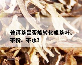 普洱茶是否能转化成茶叶、茶粉、茶水？