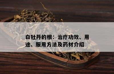 白牡丹的根：治疗功效、用途、服用方法及材介绍