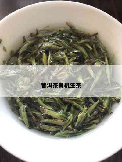 普洱茶有机生茶