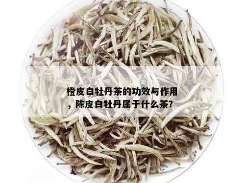 橙皮白牡丹茶的功效与作用，陈皮白牡丹属于什么茶？