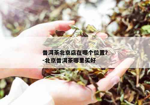 普洱茶北京店在哪个位置？-北京普洱茶哪里买好