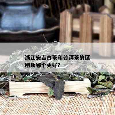 浙江安吉白茶和普洱茶的区别及哪个更好？